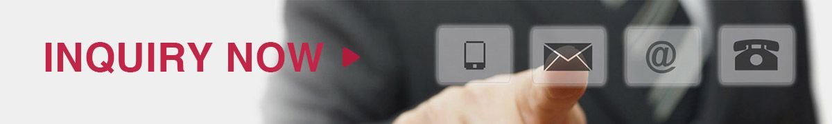 Large Head Carriage Bolts-inquiry now(001)